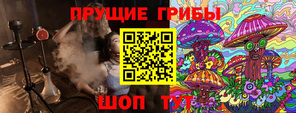 Новошахтинск  Псилоцибиновые грибы Cubensis  Вход с VPN 
